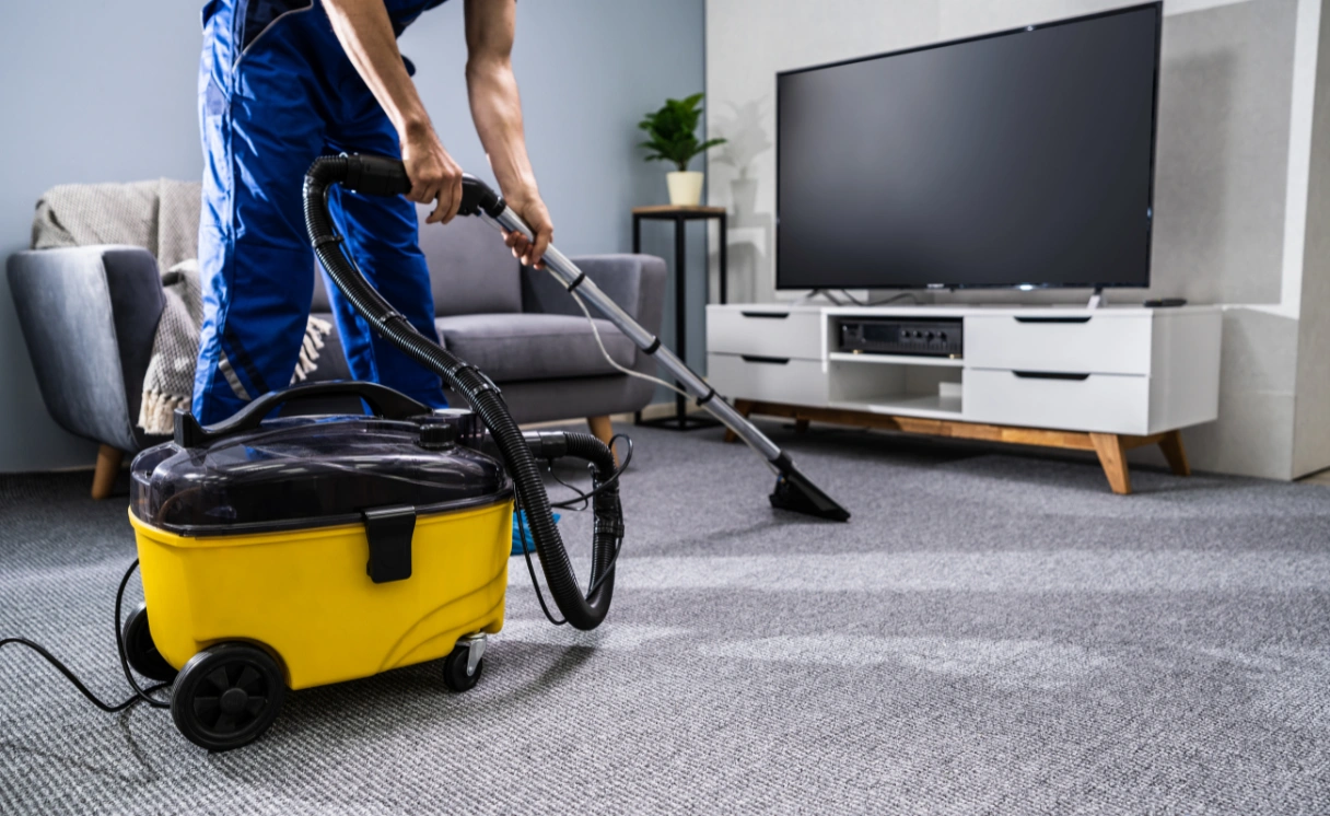 Extract Upholstery Cleaning Crib Point Contact Office